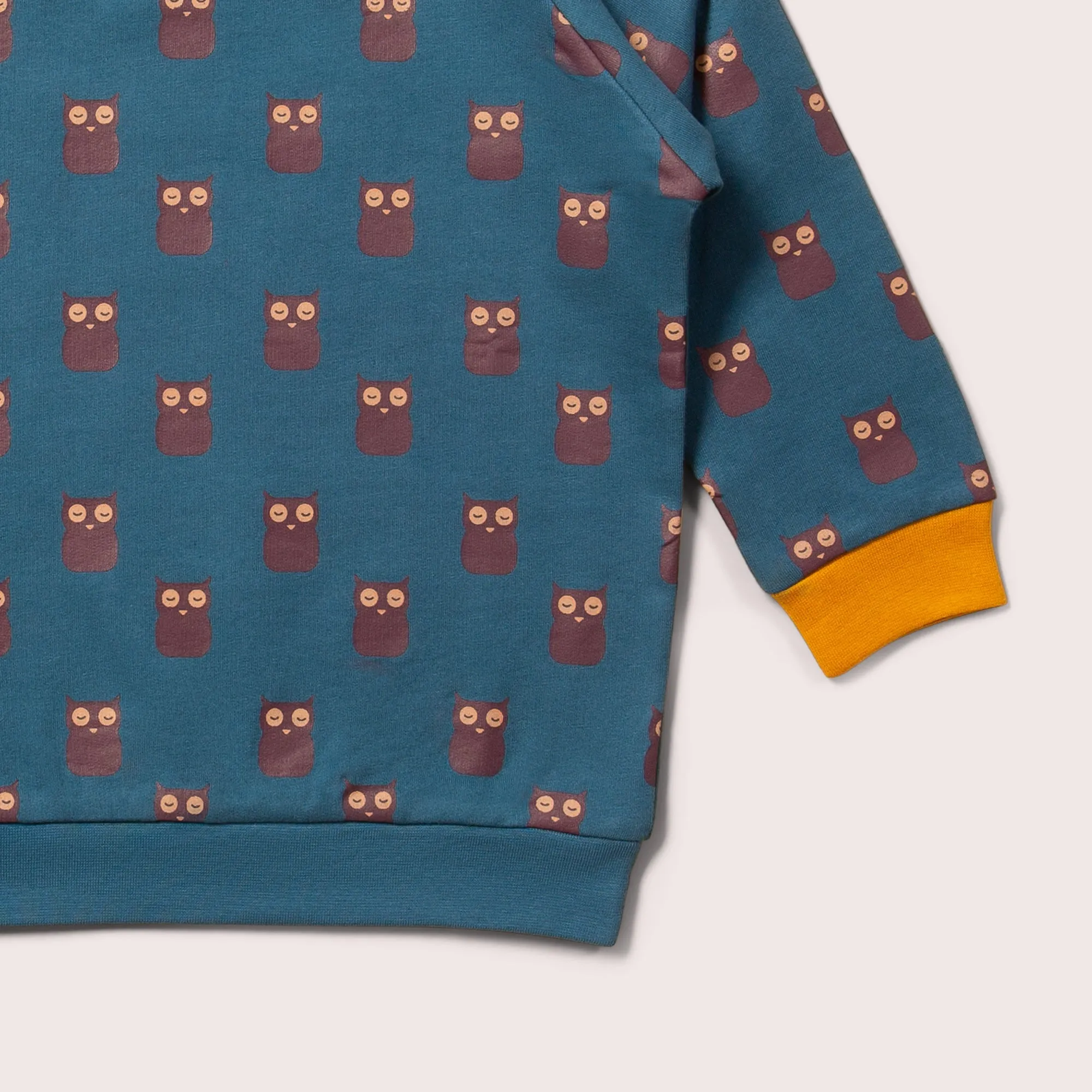 Twit Twoo Raglan Sweatshirt